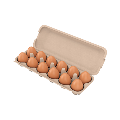 Brown Eggs